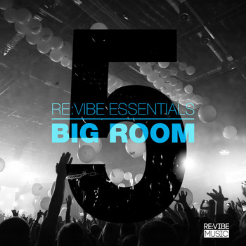 Various Artists - Re:Vibe Essentials - Big Room, Vol. 5