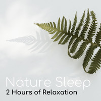Rachel Mind - Nature Sleep - 2 Hours of Relaxation