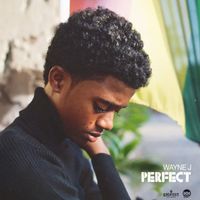 Wayne J - Perfect