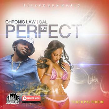 Chronic Law - Yuh Perfect