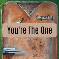 Nightfly - You're the One