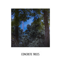 The Beep - Concrete Trees