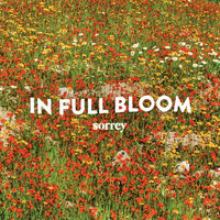 Sorrey - In Full Bloom