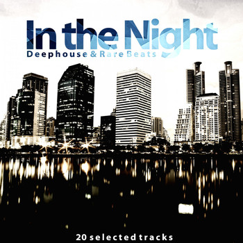 Various Artists - In the Night (Deephouse & Rare Beats)