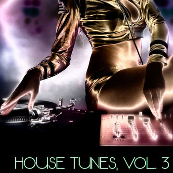 Various Artists - House Tunes, Vol. 3 (DJ Selection)