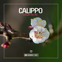 Calippo - Down on Me