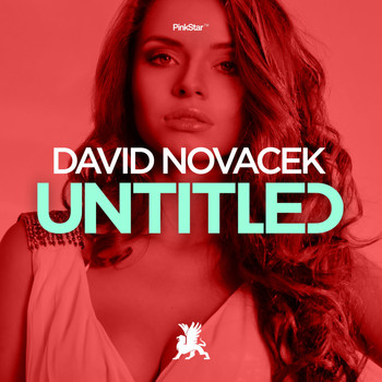 David Novacek - Untitled