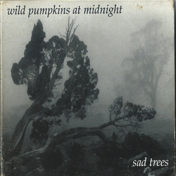 Wild Pumpkins at Midnight - Sad Trees