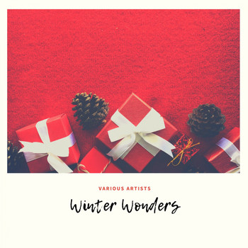 Various Artists - Winter Wonders