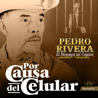 Pedro Rivera - Por Causa del Celular