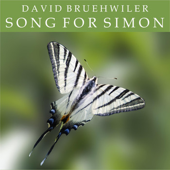 David Bruehwiler - Song for Simon
