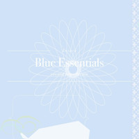 Kotaro - Blue Essentials
