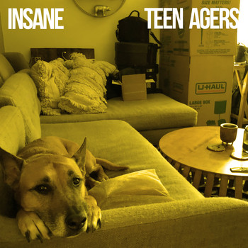 Teen Agers - Insane