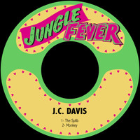 J.C. Davis - The Splib / Monkey
