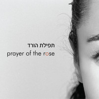 Shai Wetzer - Prayer of the Rose