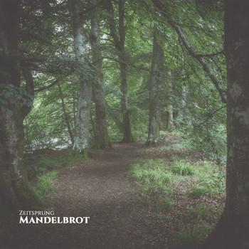 Mandelbrot - Zeitsprung