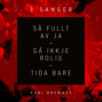 Kari Bremnes - 3 sanger