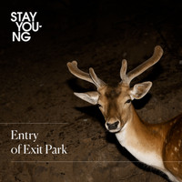 Stay Young - Entry of Exit Park