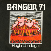 Hogia Llandegai - Bangor 71