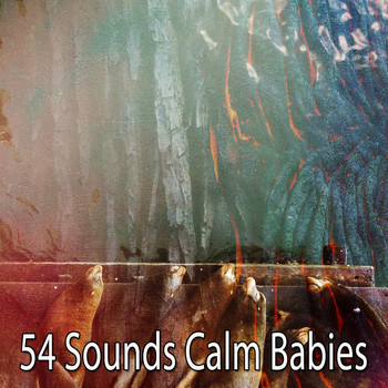 Spa - 54 Sounds Calm Babies
