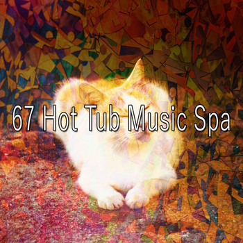 Spa - 67 Hot Tub Music Spa