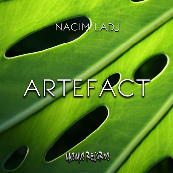 Nacim Ladj - Artefact