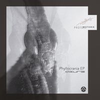 Axure - Phyllocrania EP