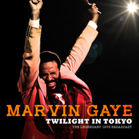 Marvin Gaye - Twilight in Tokyo (Live)