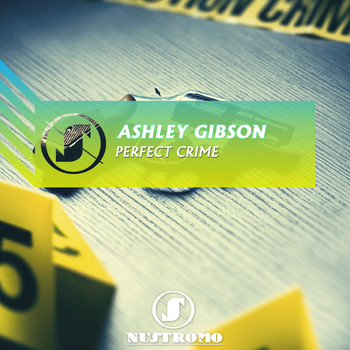 Ashley Gibson - Perfect Crime