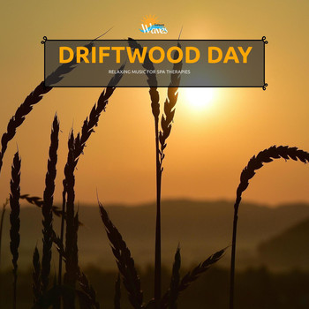 Various Artists - Driftwood Day - Relaxing Music for Spa Therapies