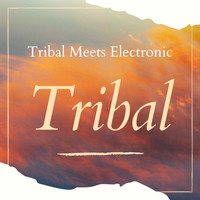 Vitor Salgueiral / - Tribal - Tribal Meets Electronic