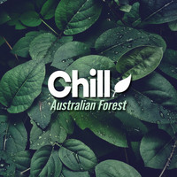 Chill / - Australian Forest