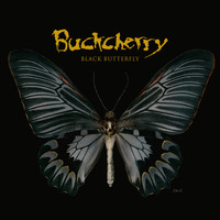 Buckcherry - Black Butterfly (Explicit)
