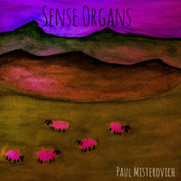 Paul Misterovich - Sense Organs