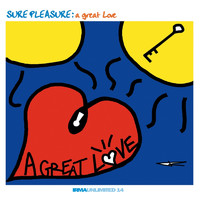 Sure Pleasure - A Great Love