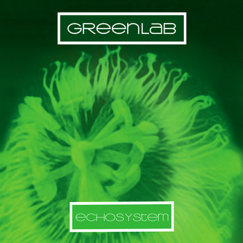 Greenlab - Echosystem