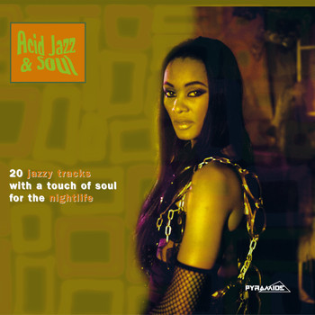 Various Artists - Acid Jazz & Soul : 20 Jazzy Tracks With a Touch of Soul for the Nightlife