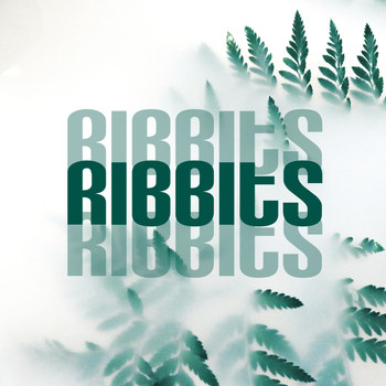 Fluxx - Ribbits