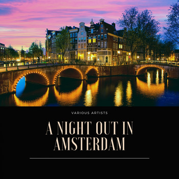 Various Artists - A Night Out in Amsterdam