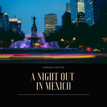 Various Artists - A Night Out in Mexico