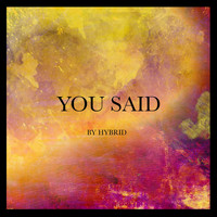Hybrid - You Said