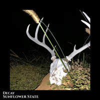 Sunflower State - Decay
