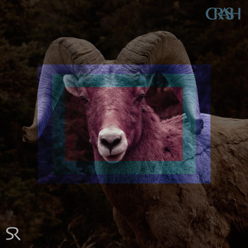 S.R. - Crash