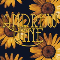 Andrew Vine - Sunflowers