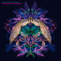 Steve Bug & Langenberg - Paradise Sold Remixes