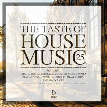 Various Artists - The Taste of House Music, Vol. 25