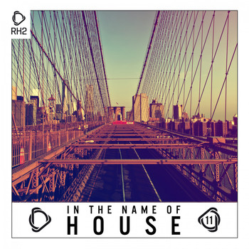 Various Artists - In the Name of House, Vol. 11