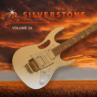D. Silverstone - D. Silverstone, Vol. 24