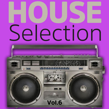 Various Artists - House Selection, Vol. 6