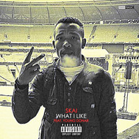 Skai - What I Like (feat. Young Donar) (Explicit)
